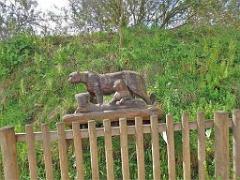 149 BIO PARC DE DOUE LA FONTAINE 7- 2016_000028